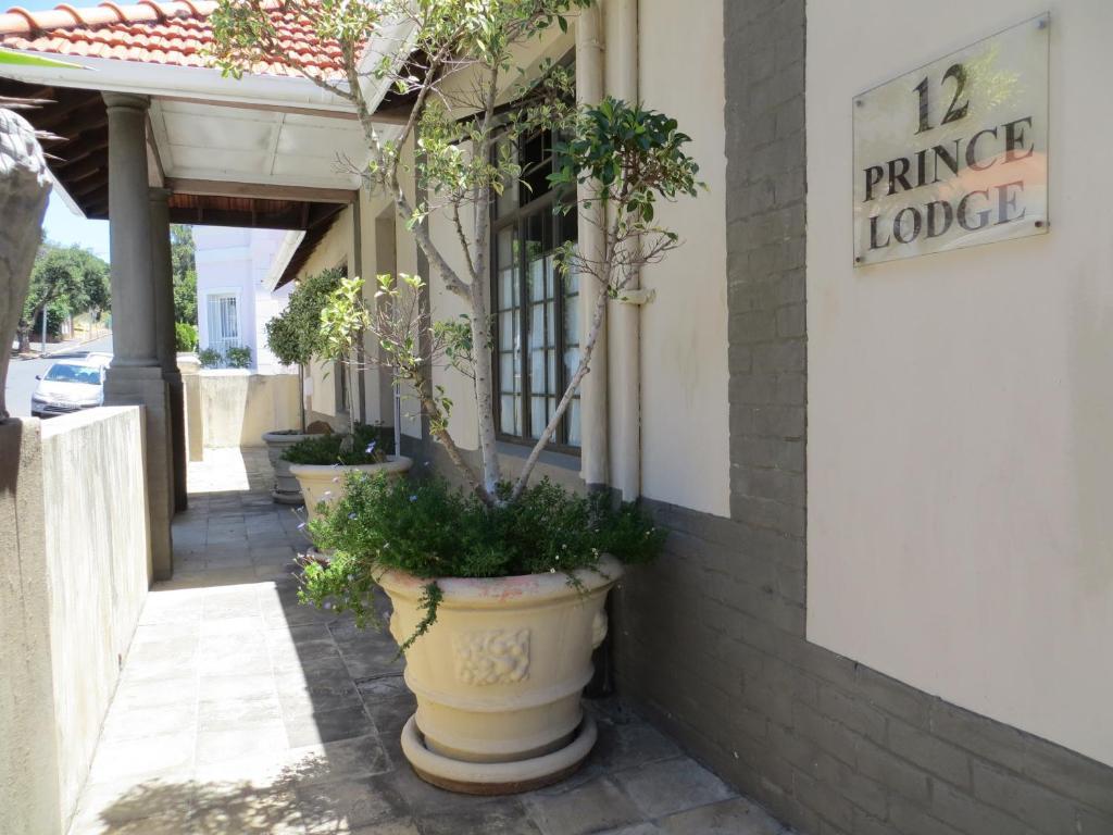 Prince Lodge Cape Town Exterior photo